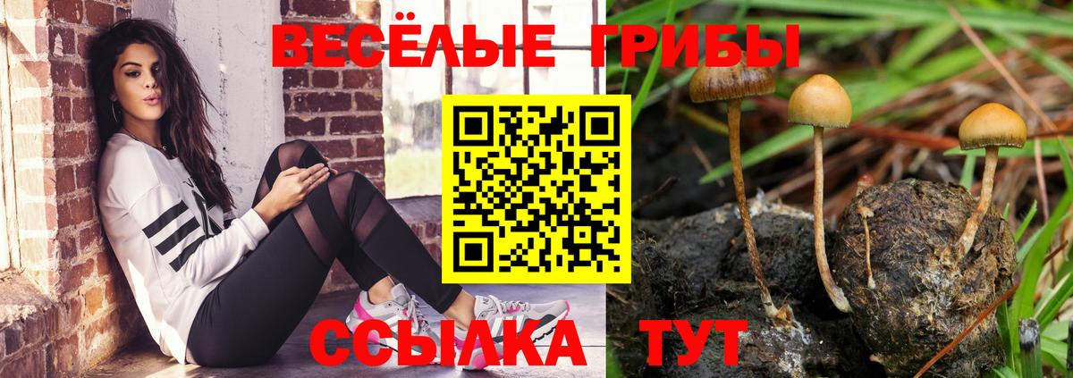 Сатка  Псилоцибиновые грибы Psilocybine cubensis  где купить наркоту  Вход с VPN 