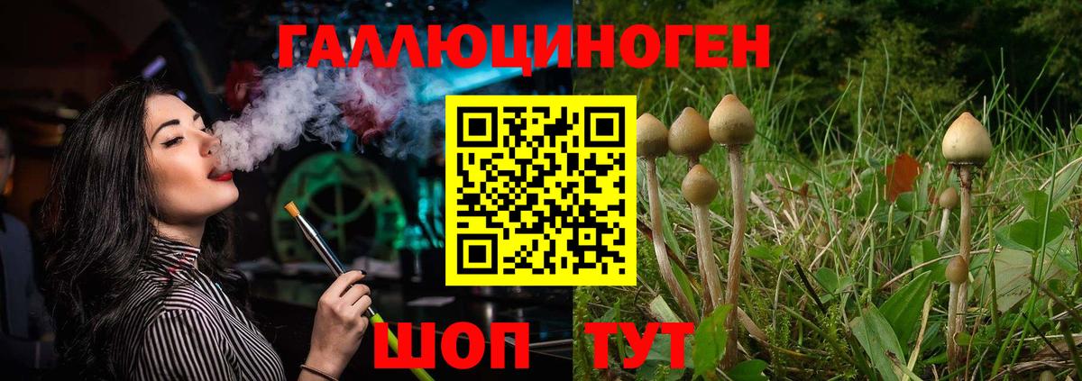 Галлюциногенные грибы Magic Shrooms Сатка